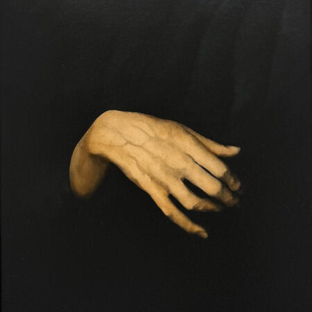 Barbara Hangan - The Hand